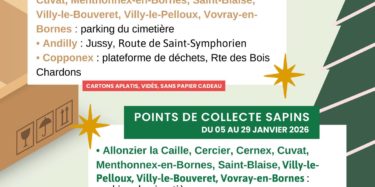 Collecte de cartons du 22 décembre 2025 au 05 janvier 2026 et collecte de sapins du 05 au 29 janvier 2026 sur le parking du cimetière.
