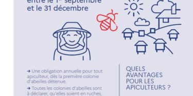 Déclaration de ruches du 1er septembre au 31 décembre 2025